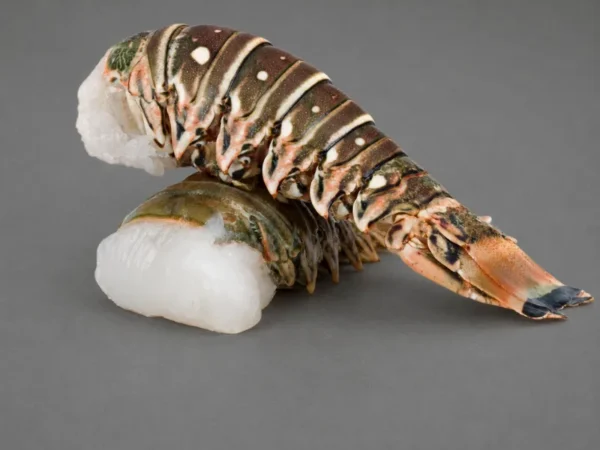 Lobsterio uodegos