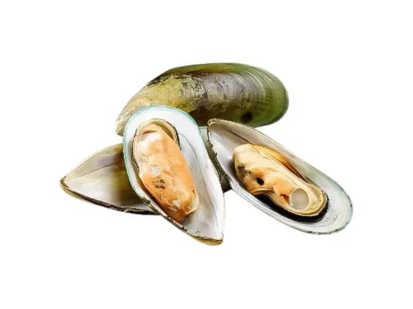 Žaliosios midijos geldelėse