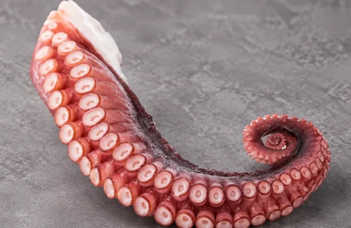 Virtas aštuonkojo čiuptuvas 180g -/+ 10g